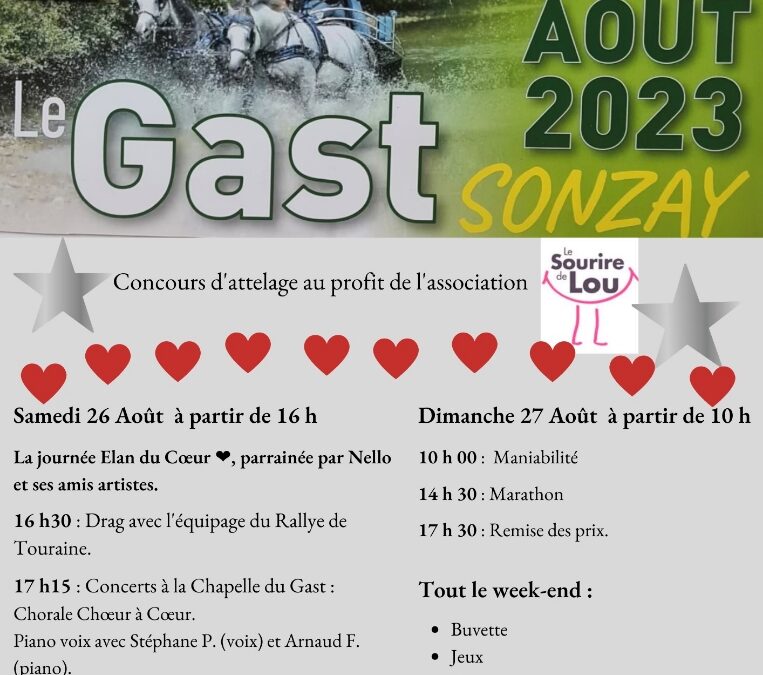soirée bénévole au profit du « sourire de LOU »