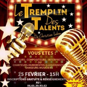 Affiche TREMPLINS DU TALENT