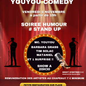 Affiche youyou comedy