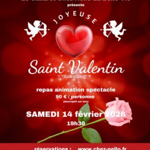 DINER SPECTACLE ST VALENTIN